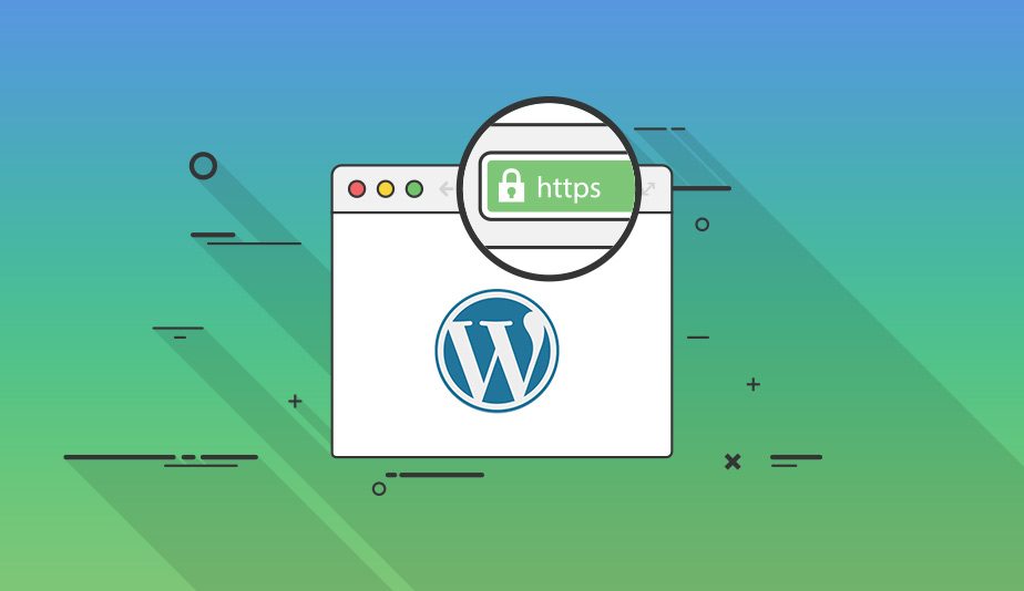 Wordpress SSL Kurulumu Nasıl Yapılır?